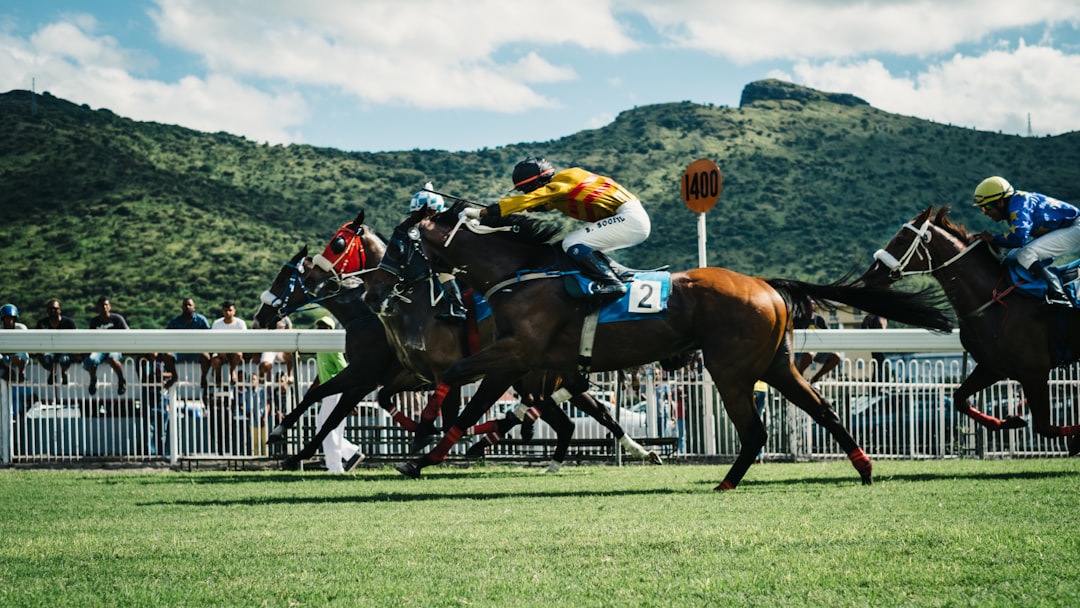 Horse racing action