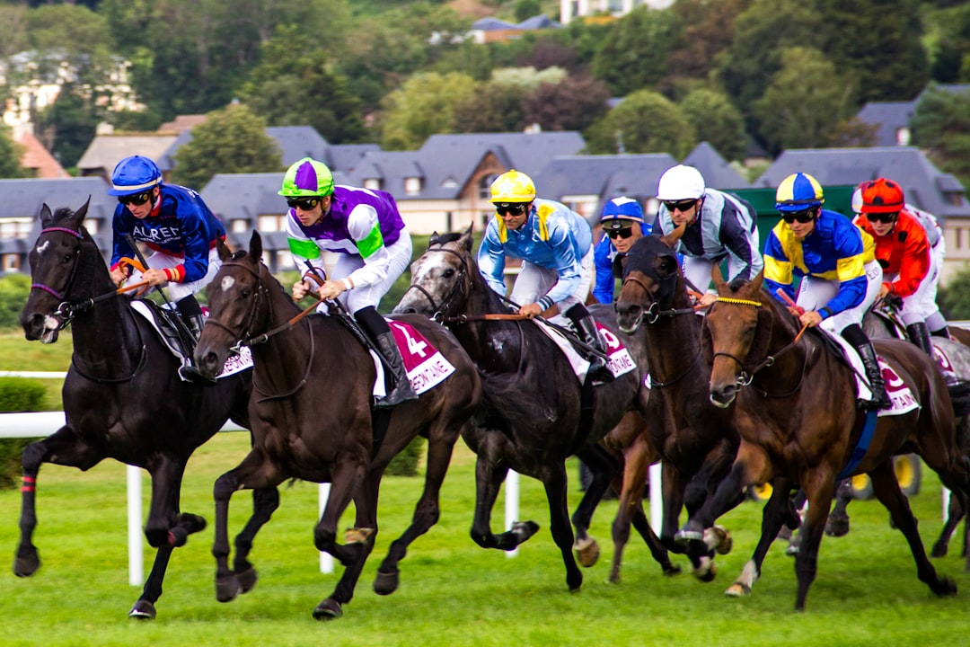 Horse racing excitement